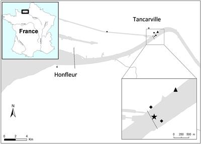 Distinct Aeromonas Populations in Water Column and Associated with Copepods from Estuarine Environment (Seine, France)